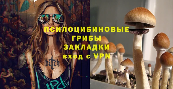 дживик Армянск